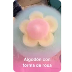 Agregar un subtítulo (38)