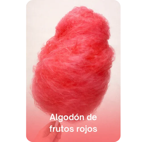 Agregar un subtítulo (39)