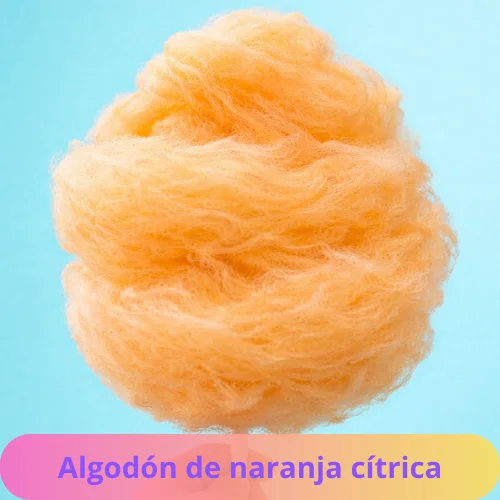 Agregar un subtítulo (78) (1)