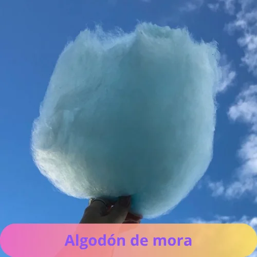 Agregar un subtítulo (81)